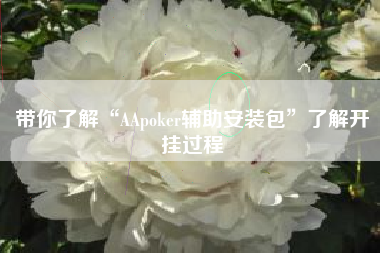 带你了解“AApoker辅助安装包”了解开挂过程