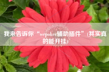 我来告诉你“wepoker辅助插件”(其实真的能开挂)