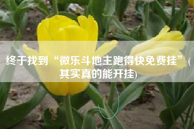 终于找到“微乐斗地主跑得快免费挂	”(其实真的能开挂)