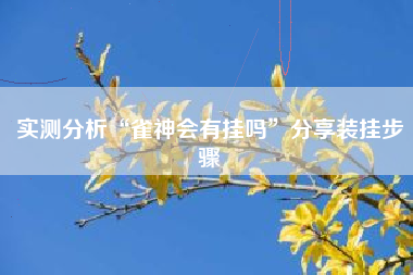 实测分析“雀神会有挂吗”分享装挂步骤