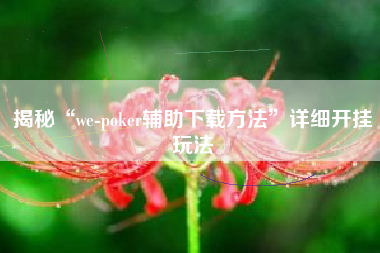 揭秘“we-poker辅助下载方法”详细开挂玩法