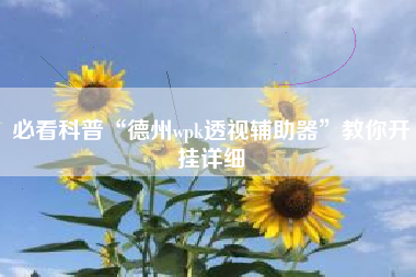 必看科普“德州wpk透视辅助器	”教你开挂详细