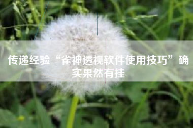传递经验“雀神透视软件使用技巧	”确实果然有挂