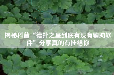 揭秘科普“德扑之星到底有没有辅助软件”分享真的有挂给你