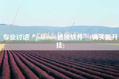 专业讨论“pokernow透视软件”(确实能开挂)