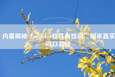 内幕揭秘“wepoker软件有挂吗	”原来真实可以装挂