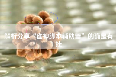 解析分享“雀神脚本辅助器	”的确是有挂