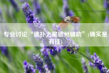 专业讨论“德扑之星德州辅助”(确实是有挂)