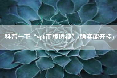 科普一下“wpk正版透视”(确实能开挂)