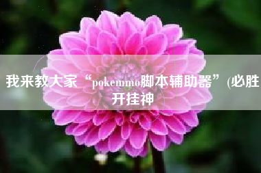 我来教大家“pokemmo脚本辅助器	”(必胜开挂神