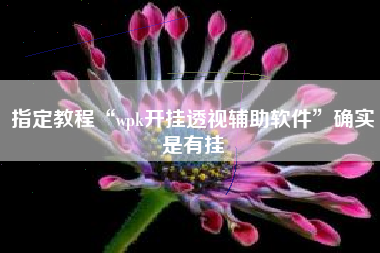 指定教程“wpk开挂透视辅助软件	”确实是有挂