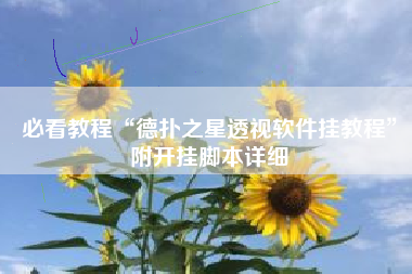 必看教程“德扑之星透视软件挂教程	”附开挂脚本详细