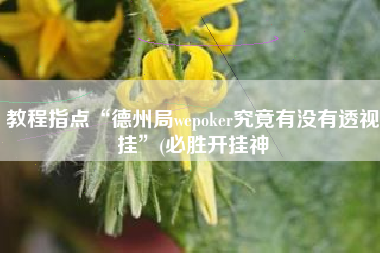 教程指点“德州局wepoker究竟有没有透视挂”(必胜开挂神