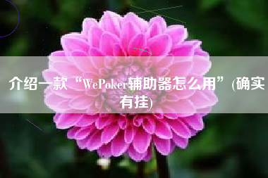 介绍一款“WePoker辅助器怎么用	”(确实有挂)