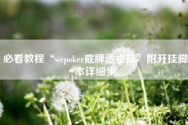 必看教程“wepoker底牌透视挂	”附开挂脚本详细步