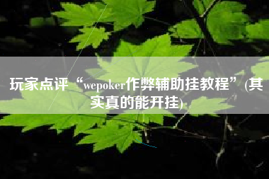 玩家点评“wepoker作弊辅助挂教程”(其实真的能开挂)