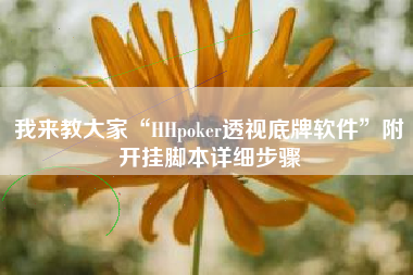我来教大家“HHpoker透视底牌软件”附开挂脚本详细步骤