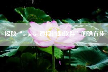揭秘“wepoker透视辅助软件”的确有挂