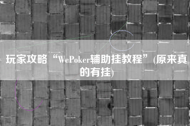 玩家攻略“WePoker辅助挂教程”(原来真的有挂)
