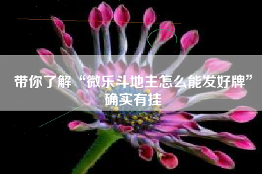 带你了解“微乐斗地主怎么能发好牌”确实有挂