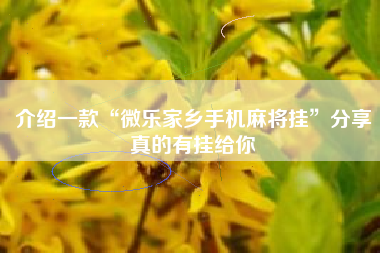介绍一款“微乐家乡手机麻将挂”分享真的有挂给你