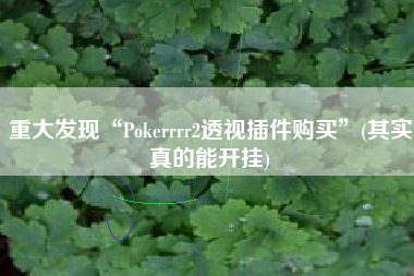 重大发现“Pokerrrr2透视插件购买”(其实真的能开挂)