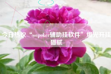 今日热议“wepoker辅助挂软件	”爆光开挂猫腻