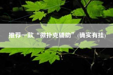 推荐一款“微扑克辅助”(确实有挂)