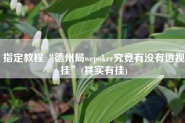 指定教程“德州局wepoker究竟有没有透视挂”(其实有挂)