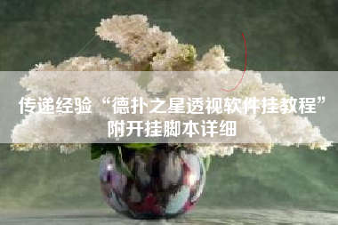 传递经验“德扑之星透视软件挂教程”附开挂脚本详细