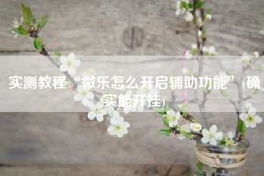 实测教程“微乐怎么开启辅助功能”(确实能开挂)