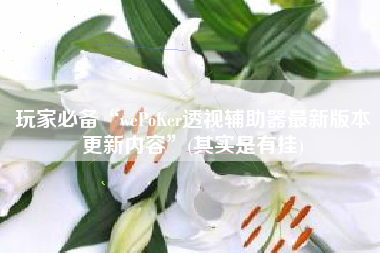 玩家必备“wePoKer透视辅助器最新版本更新内容”(其实是有挂)