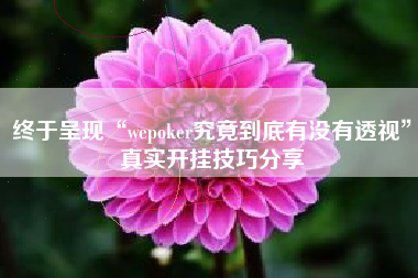 终于呈现“wepoker究竟到底有没有透视	”真实开挂技巧分享