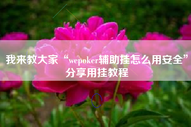 我来教大家“wepoker辅助挂怎么用安全	”分享用挂教程
