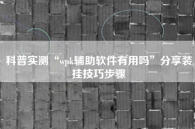 科普实测“wpk辅助软件有用吗	”分享装挂技巧步骤