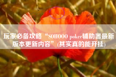 玩家必备攻略“SOHOOO poker辅助器最新版本更新内容”(其实真的能开挂)
