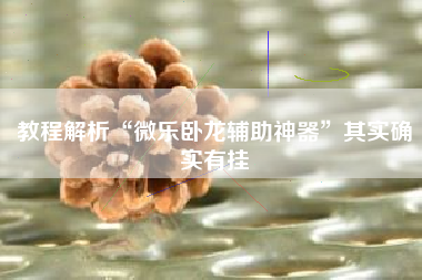 教程解析“微乐卧龙辅助神器”其实确实有挂