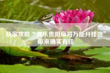 玩家攻略“微乐贵阳麻将万能开挂器	”原来确实有挂