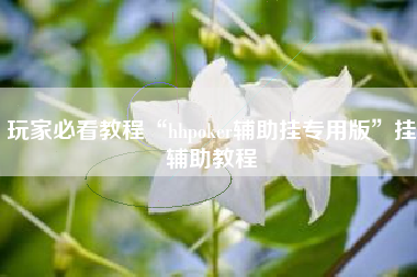 玩家必看教程“hhpoker辅助挂专用版”挂辅助教程