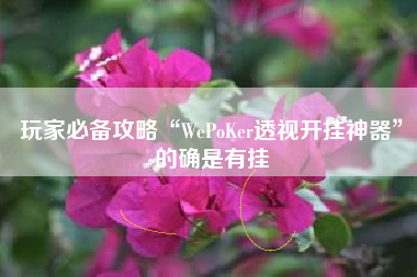 玩家必备攻略“WePoKer透视开挂神器”的确是有挂