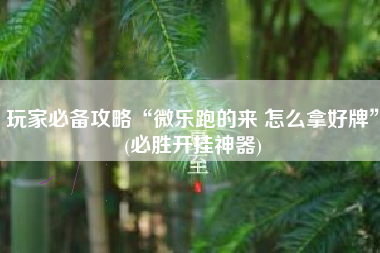 玩家必备攻略“微乐跑的来 怎么拿好牌”(必胜开挂神器)