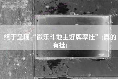 终于呈现“微乐斗地主好牌率挂”(真的有挂)