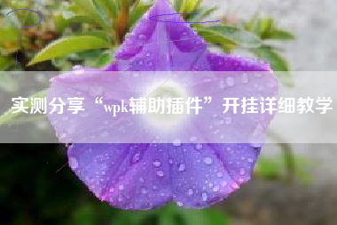 实测分享“wpk辅助插件”开挂详细教学