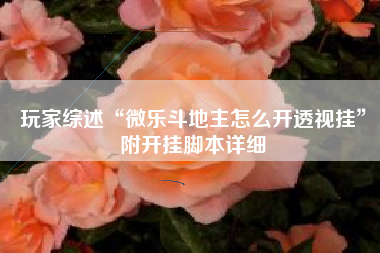 玩家综述“微乐斗地主怎么开透视挂”附开挂脚本详细