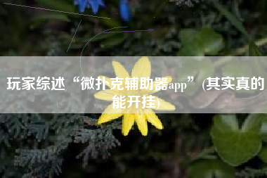 玩家综述“微扑克辅助器app	”(其实真的能开挂)