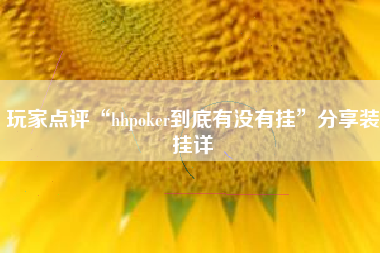 玩家点评“hhpoker到底有没有挂”分享装挂详