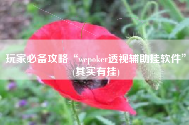 玩家必备攻略“wepoker透视辅助挂软件	”(其实有挂)