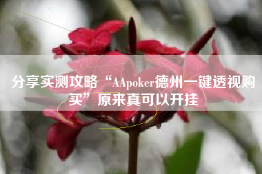 分享实测攻略“AApoker德州一键透视购买	”原来真可以开挂