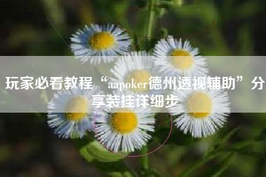 玩家必看教程“aapoker德州透视辅助”分享装挂详细步