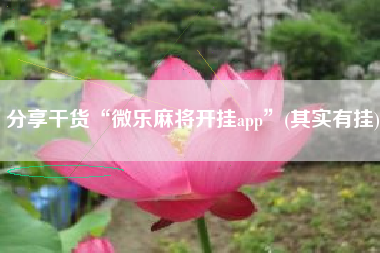 分享干货“微乐麻将开挂app	”(其实有挂)